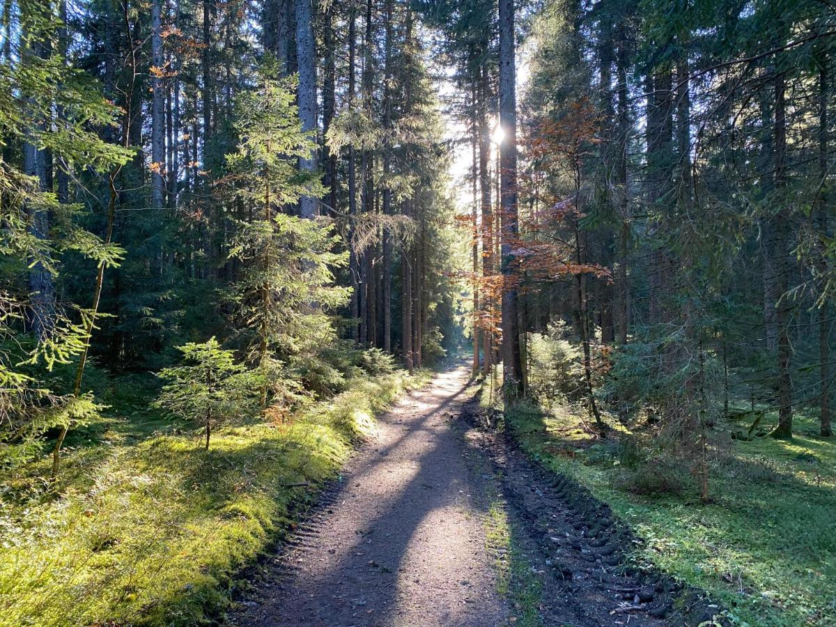 Ferienwohnung Waldblick Wilhelmsdorf Exterior foto